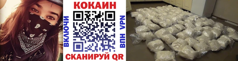 Купить закладки  Тында  Кокаин Fish Scale 