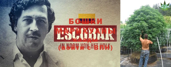 амфетамин Рославль